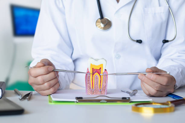 Best Tooth Infection Emergency Dentist  in Aldan, PA